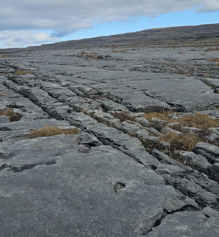 f833d3cc-bf2a-46a0-a5e5-9453ef47d71f