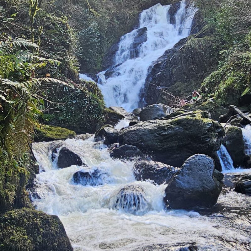 53c2be4d-0467-45e0-839e-1b2eb1789a23