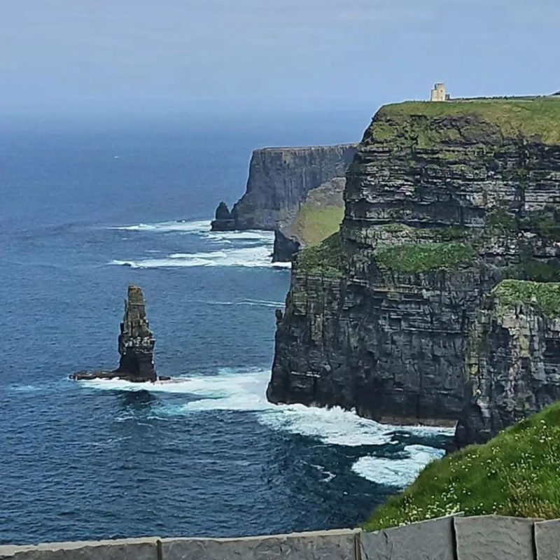 835f8da7-0cae-43f8-aa55-30267aa8310c