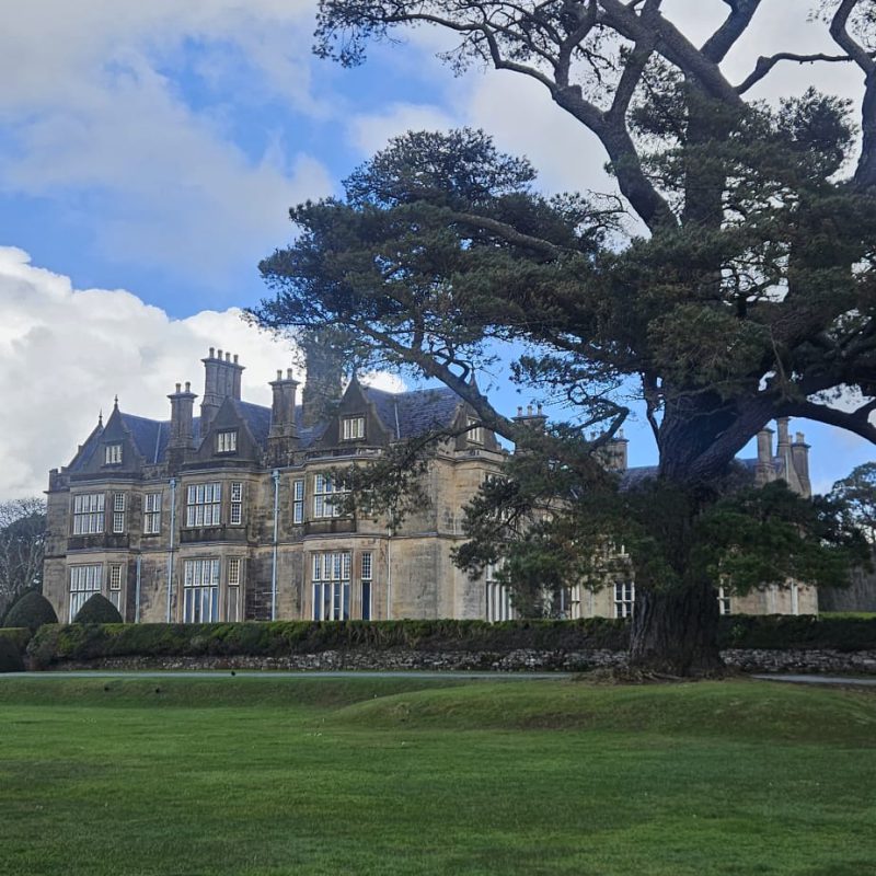 94b51f8e-f00d-48e4-917e-3c3024d75803